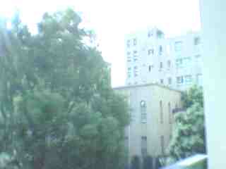 cam03.jpg